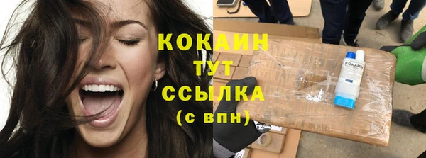 гидра Горно-Алтайск