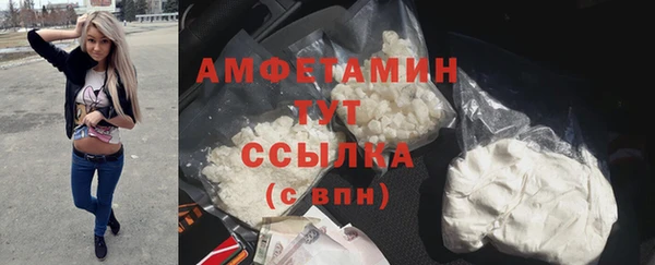 гидра Горно-Алтайск