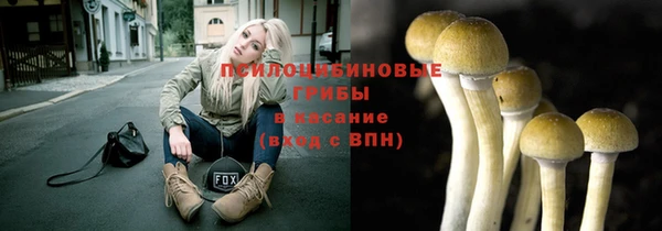 дурь Горнозаводск