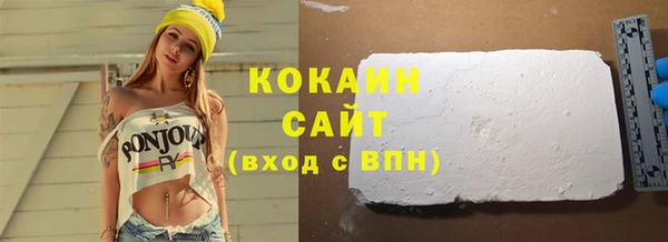 гидра Горно-Алтайск