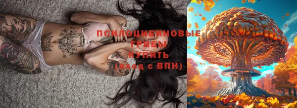 дурь Горнозаводск