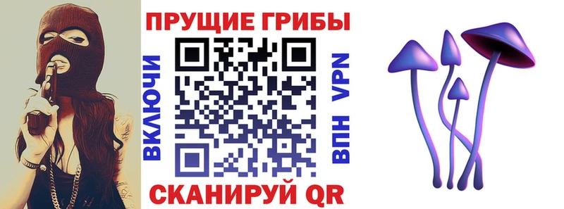 Галлюциногенные грибы Psilocybine cubensis  Купить закладки  Долинск 